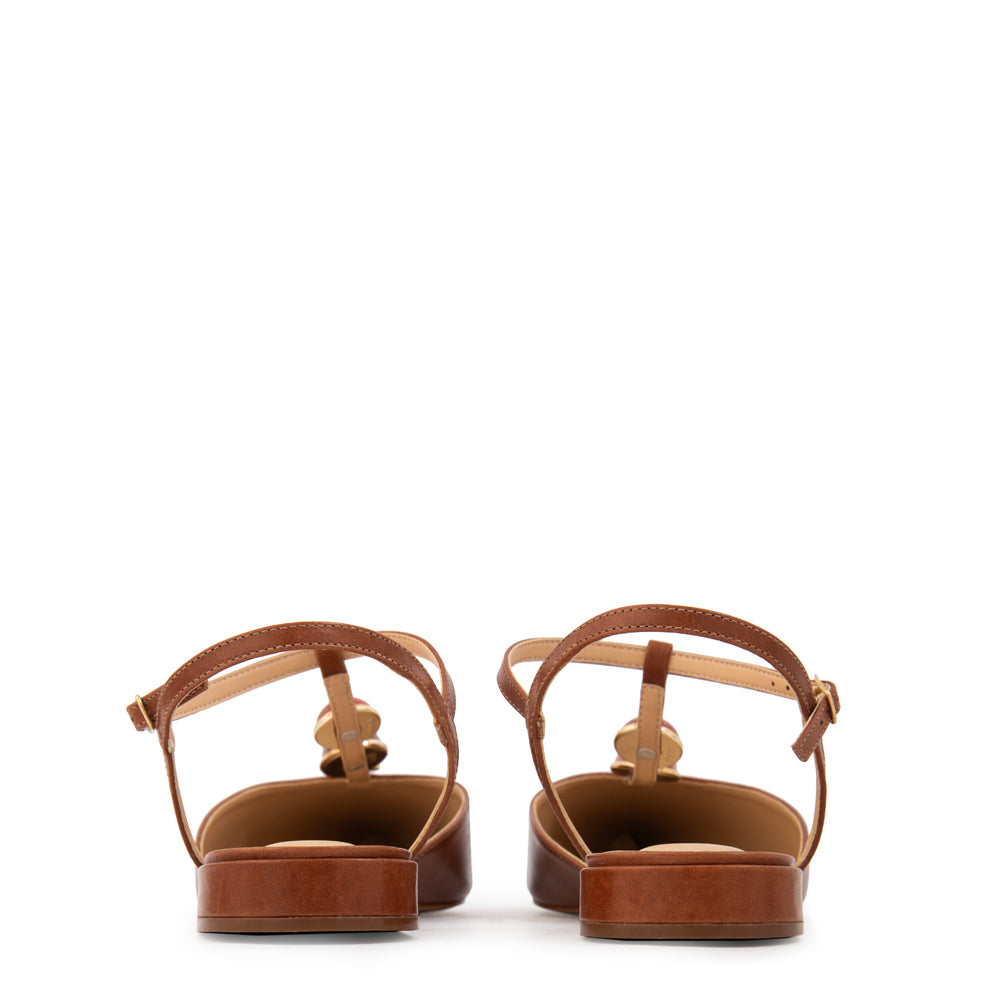 ZAPATO JADE MARRÓN